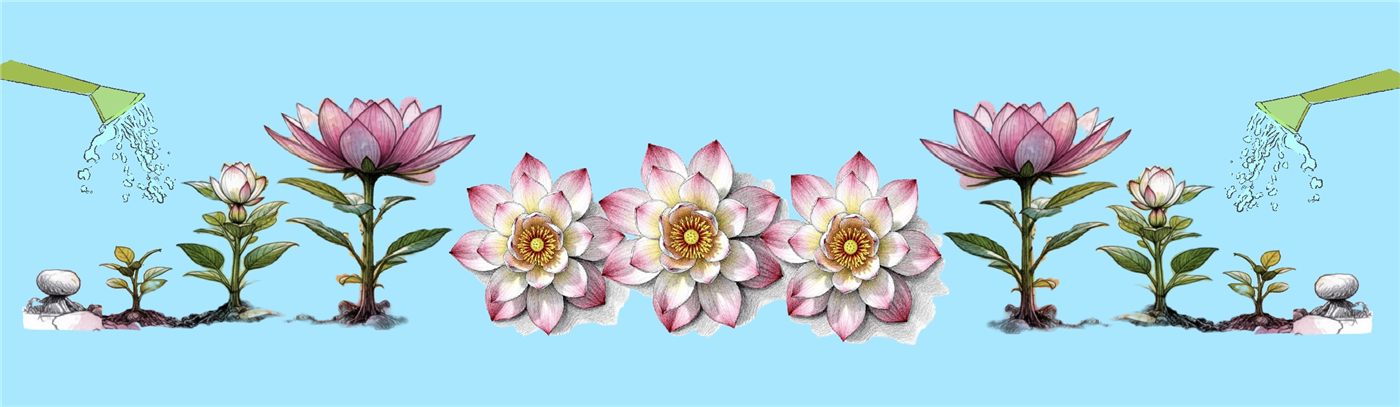 The chosen design: a lotus growing from seed to full bloom across five panels on a pale blue ground, with a watering can pouring in from each end.