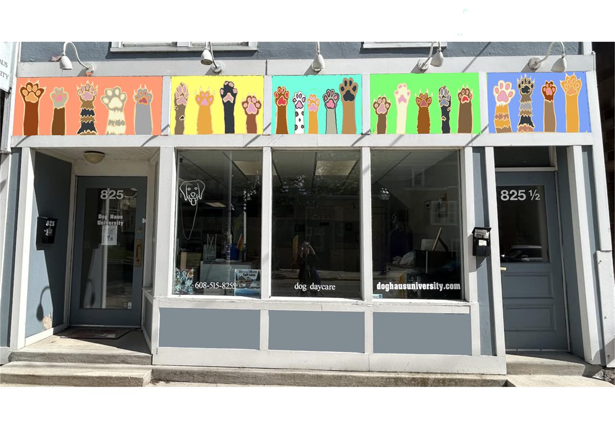 An alternative proposal mocked up on the building: five panels of raised animal paws on orange, yellow, turquoise, green and blue grounds.