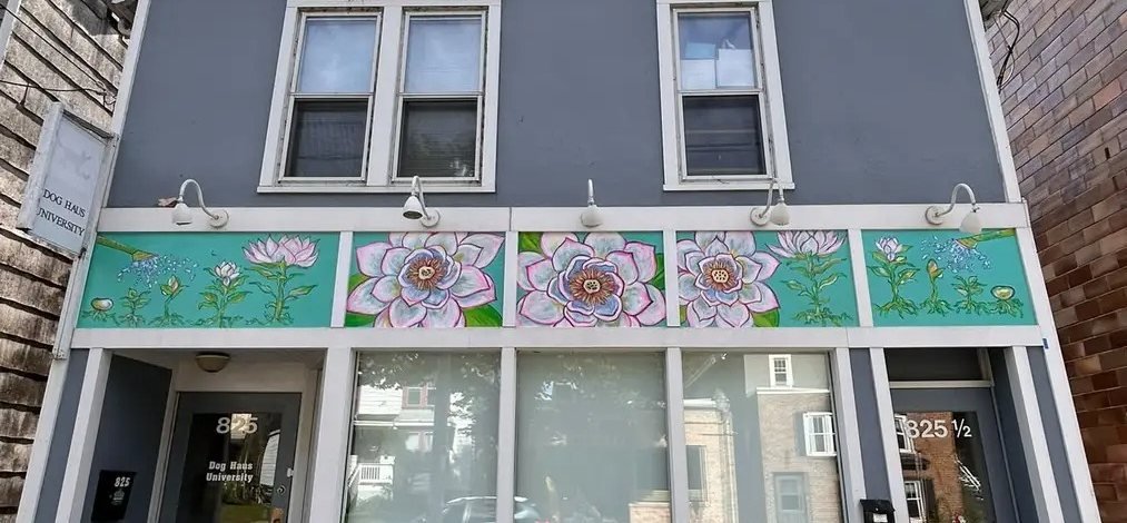 The finished mural at 825 E Johnson St: five painted panels of lotus flowers on a teal ground, mounted above the storefront windows.
